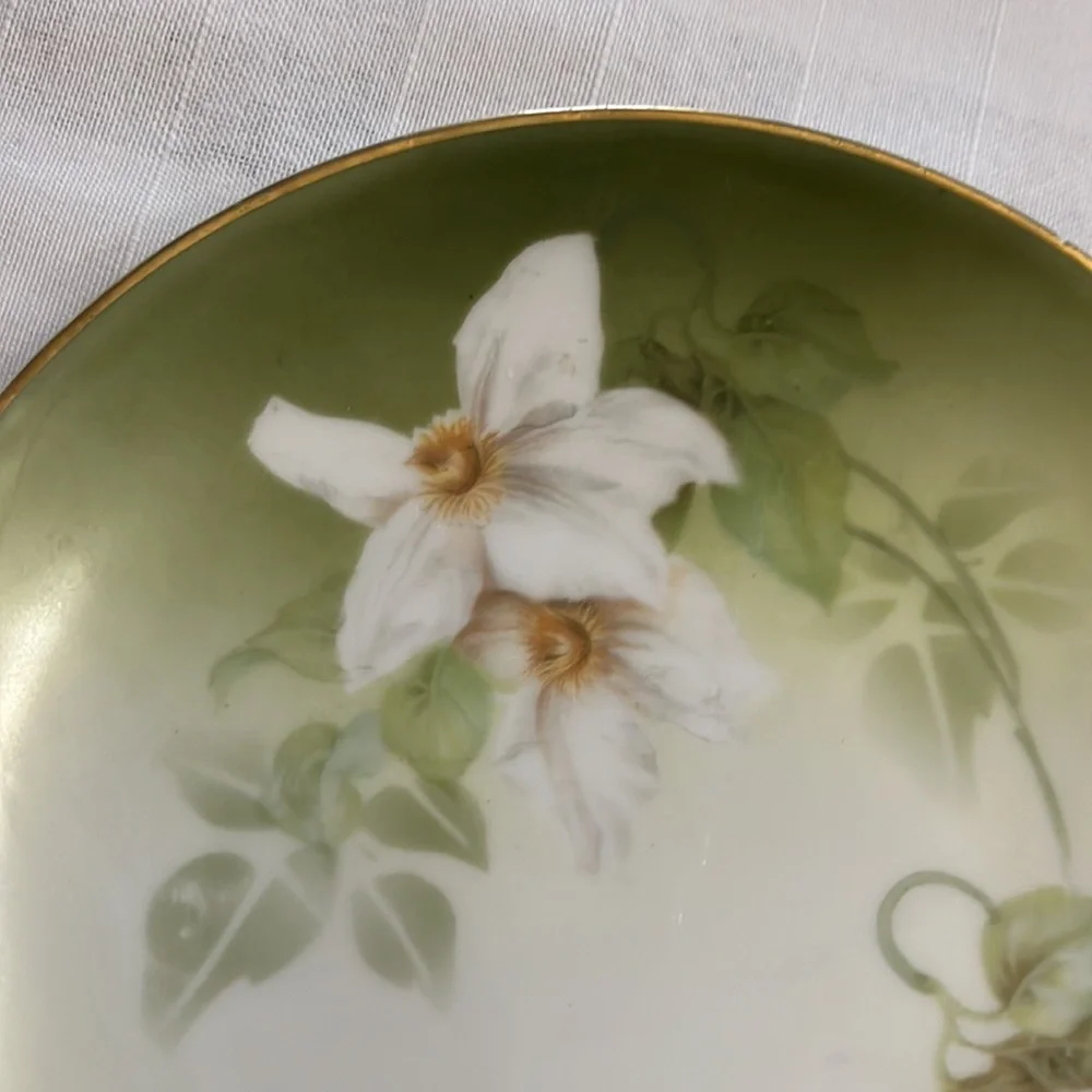 Antique delicate white floral design on porcelain plates RS Tillowitz Germany